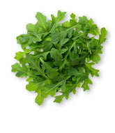 Arugula lettuce