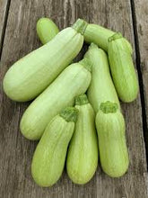 Summer Squash