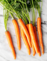 Carrot whole